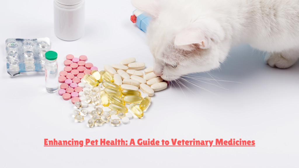 Enhancing Pet Health: A Guide to Veterinary Medicines